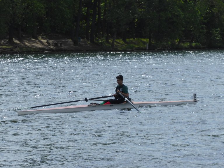 P1000985__2_.JPG 